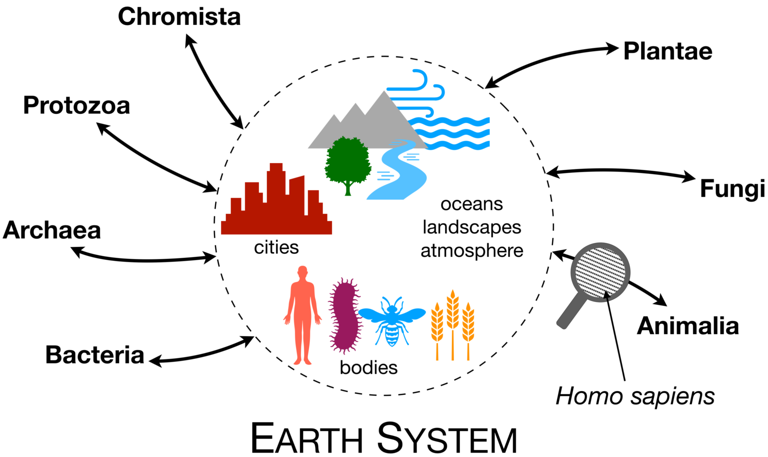 Earth system. The Earth System. Earth System Science. HM Sustainability. Global Transformation.