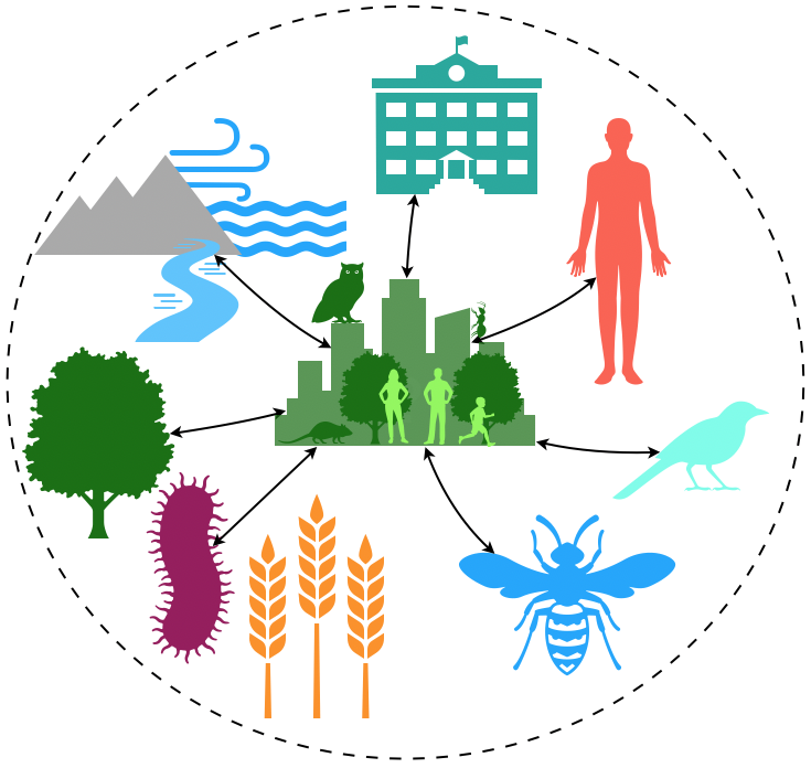 Multispecies Cities